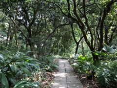 -广西壮族自治区药用植物园