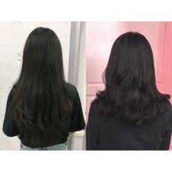 -T8 SALON