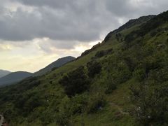 -大姆山草场