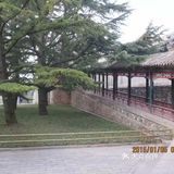 北京游玩攻略|你不得不去的颐和园！