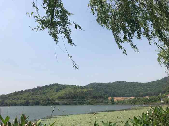 荪湖水库-"骑公共自行车过去的,本来我妈和我说大概2.