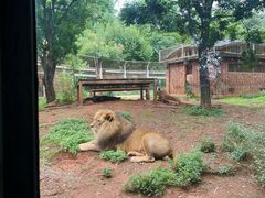 -昆明动物园