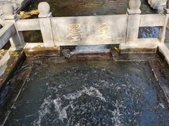 -百脉泉景区