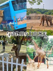 -Zoolung Zoolung动物主题公园(海信广场店)