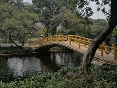 -晓港公园