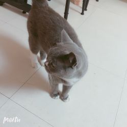 -Pink You美甲美睫纹绣定制中心