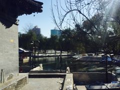 -万柳阁小馆·花园餐厅(龙潭湖店)