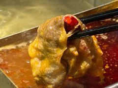 -海底捞火锅(吾悦国际广场店)