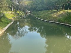 -北坞公园