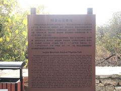 -阳台山自然风景区