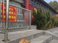 -开福禅寺