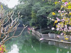 -荔湾湖公园