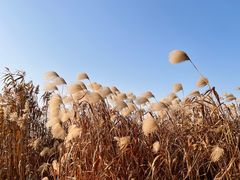 -上海市保健医疗中心