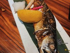 -KITON喜豚(清晖园店)