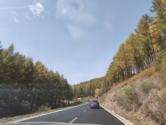 -塞罕坝国家级自然保护区