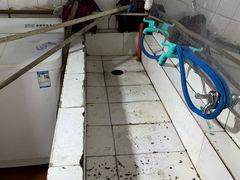 -玉泉威虎山森林公园