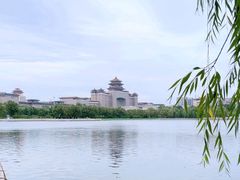 -莲花池公园