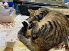 -猫的天空之城概念书店(杭州南宋御街店)