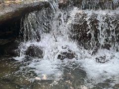 -中国茶叶博物馆(双峰馆区)