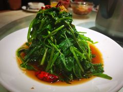 芥兰苗-佬肥猫(国华广场店)