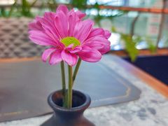 -芭莉与彩虹西餐厅(成都合生汇店)