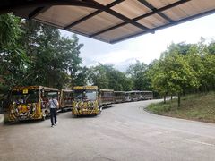 -清迈夜间动物园