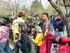 -尚庄度假村·庭台树下·户外烧烤·团建CS·轰趴营地(上庄水库店)