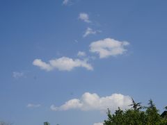 -石家庄市植物园