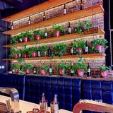 总有一天你的心上人会手持烤羊腿，脚踩棉花云来找你