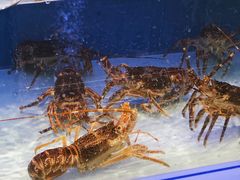 波士顿大龙虾-盒马鲜生(联投广场店)