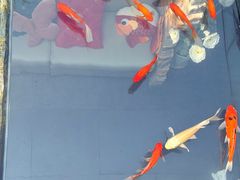 -16毫米咖啡&酒吧(南锣鼓巷店)