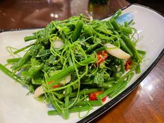 白玉菇拌龙须菜-老兰家传统烧烤炒菜泡馍(小南门店)