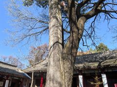 -少华山国家森林公园