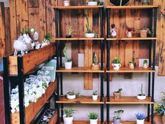 面包甜点陈列柜-彼芝奇比萨(红坊店)