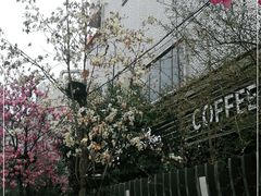 -西安创业咖啡街区