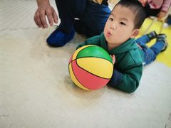 -好奇星国际托育(金地自在城校区)