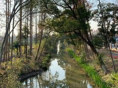 -上海长兴岛郊野公园