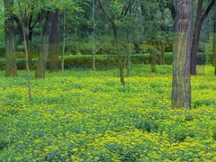 -森林公园(尖草坪区)