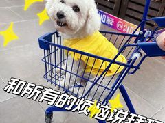 -潮界(虹桥天地店)
