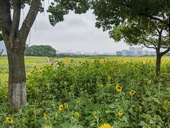 -苏州湾体育公园