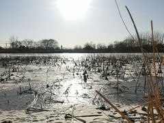 -大兴滨河森林公园