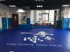 -咏春拳学总会·一拳咏春(双井店)