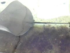 -鸿通城购物中心