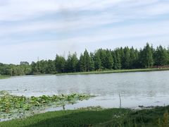 -白鹭湾湿地公园