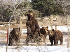 -沈阳森林动物园