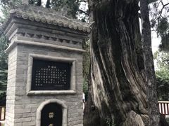 -黄帝陵