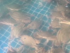 -蟹谢蒸鲜自助餐厅