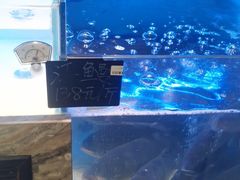 -章吴记喜瑞餐厅(东东城店)