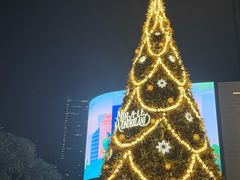 -龙湖重庆时代天街