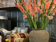-Apollo·西班牙小酒馆(安福路店)